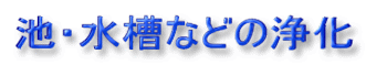 池の浄化